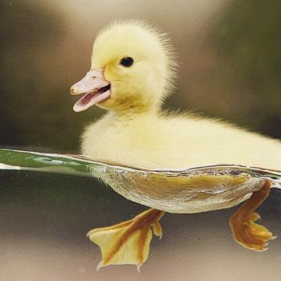 User7262628's profile picture. 