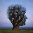 Mark Hazelton - @MarkHazelton2 - Twitter