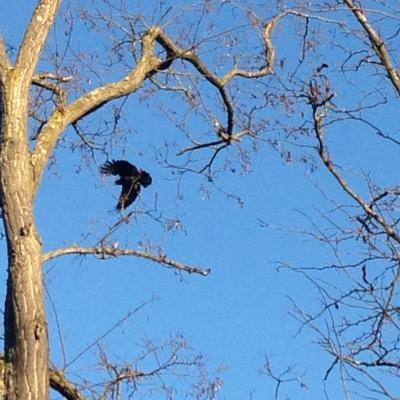 LabitManu's profile picture. …