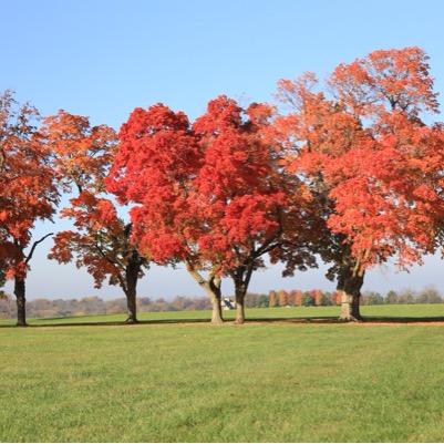 deepwaterskc's profile picture. 