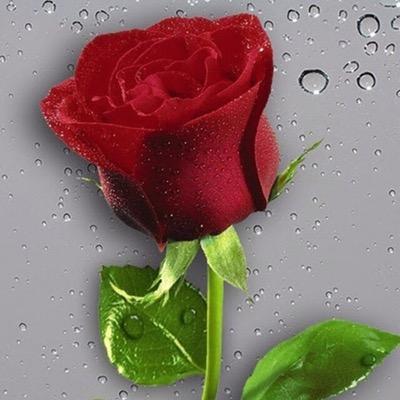 SeLeNe_StOs's profile picture. Ps q decir ammm, soy muy original, alegre, amistosa, revelde de vez en cuando, guapísima (jejejej), mmm inteligentisimaaaa, y excesivamente sentimental!