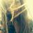 DominoKirke's profile image