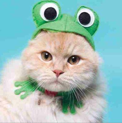 bayabaya_0708's profile picture. 8845
K.M.P. '17~'19/Bass Trombone