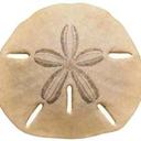 Bill Bittner - @SeasideMktng - Twitter