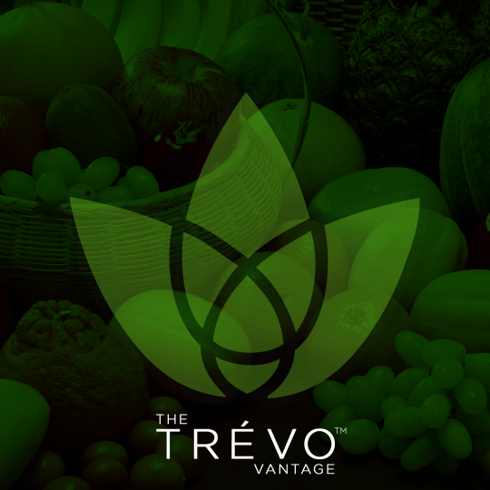 Trévo is a complete liquid health and wealth system in a bottle. Join Trévo now!
Email: thetrevovantage@gmail.com
Phone: +2348162651909