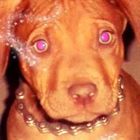 moherve's profile picture. como diría el @mymtumtum sigueme, 
@malcaractercrew