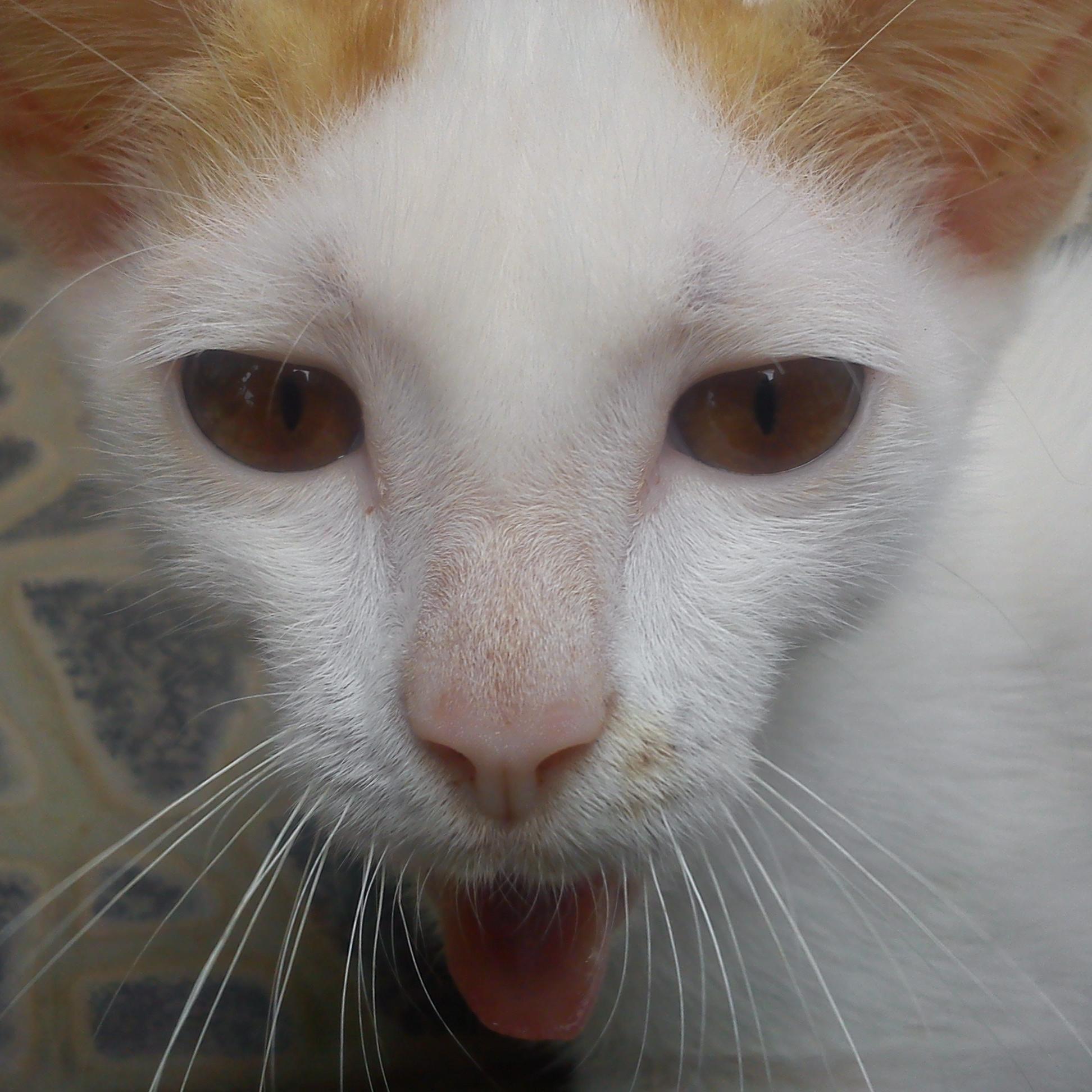 fathyatsaltsa_'s profile picture. 9Immensely2014|Detsa15|IG fathya_tsaltsa
my twin @Ratna_Melatii