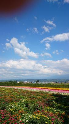 沖縄と北海道をこよなく愛する、東京生まれ埼玉育ちの神奈川県民。