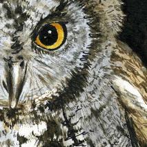 OwlHeadArtistry's profile picture. 