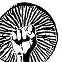 Fungi For The People (@fungi4thepeople) Twitter profile photo