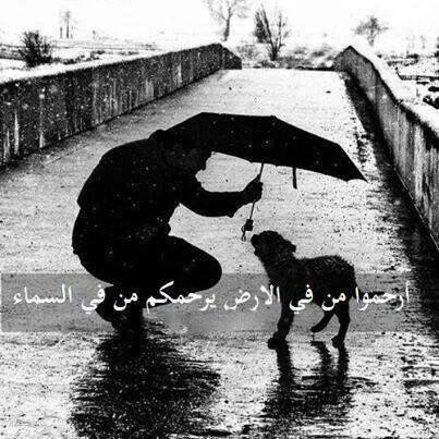 الحمدلله