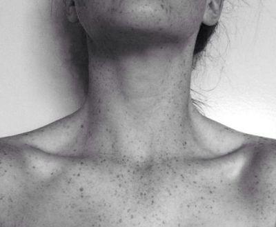 evomc19's profile picture. 