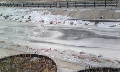 ta_egorova's profile picture. Nicego novogo