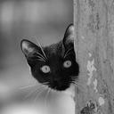 Adrian Zalewski - @adrian_ola_z - Twitter