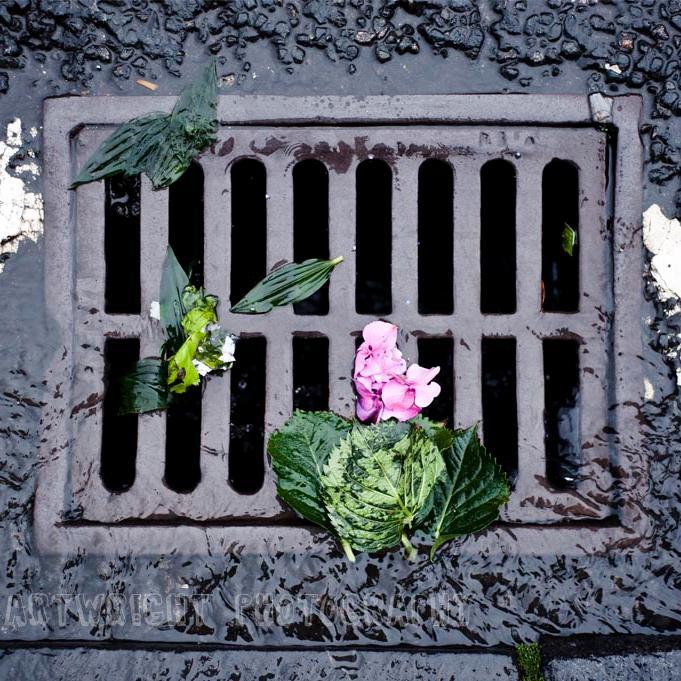 RufnekKhipHOP's profile picture. 