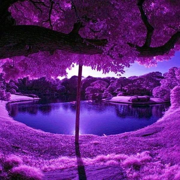 mmmyandexr's profile picture. 