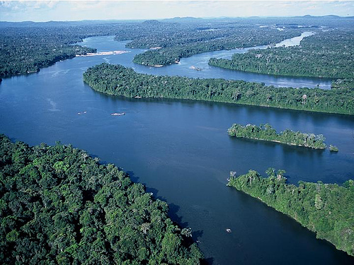 The Amazon rainforest, also known as Amazonia, is one of the world's greatest natural resources.