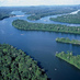 Amazon Rainforest (@amazonrf) Twitter profile photo Amazon Rainforest (@amazonrf) Twitter profile photo