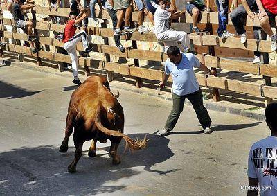 candidomuoz2's profile picture. 