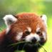 Thae'Shah (@priosca) Twitter profile photo Thae'Shah (@priosca) Twitter profile photo