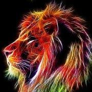 singar2004's profile picture. 