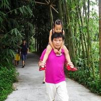 Dương Anh Hùng (@hung1411) 's Twitter Profile
