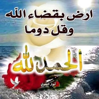 GgQTufzEykQWMGi's profile picture. أهلن بكم جميعا