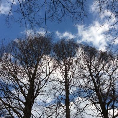 クリスチャンです。毎日聖書を読んでいます。心にとまった聖句を忘れないようにここにポストしています。毎日想いを巡らしてここに戻っては読み返しています。