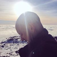 Matthew Neal (@matt_neal) 's Twitter Profile