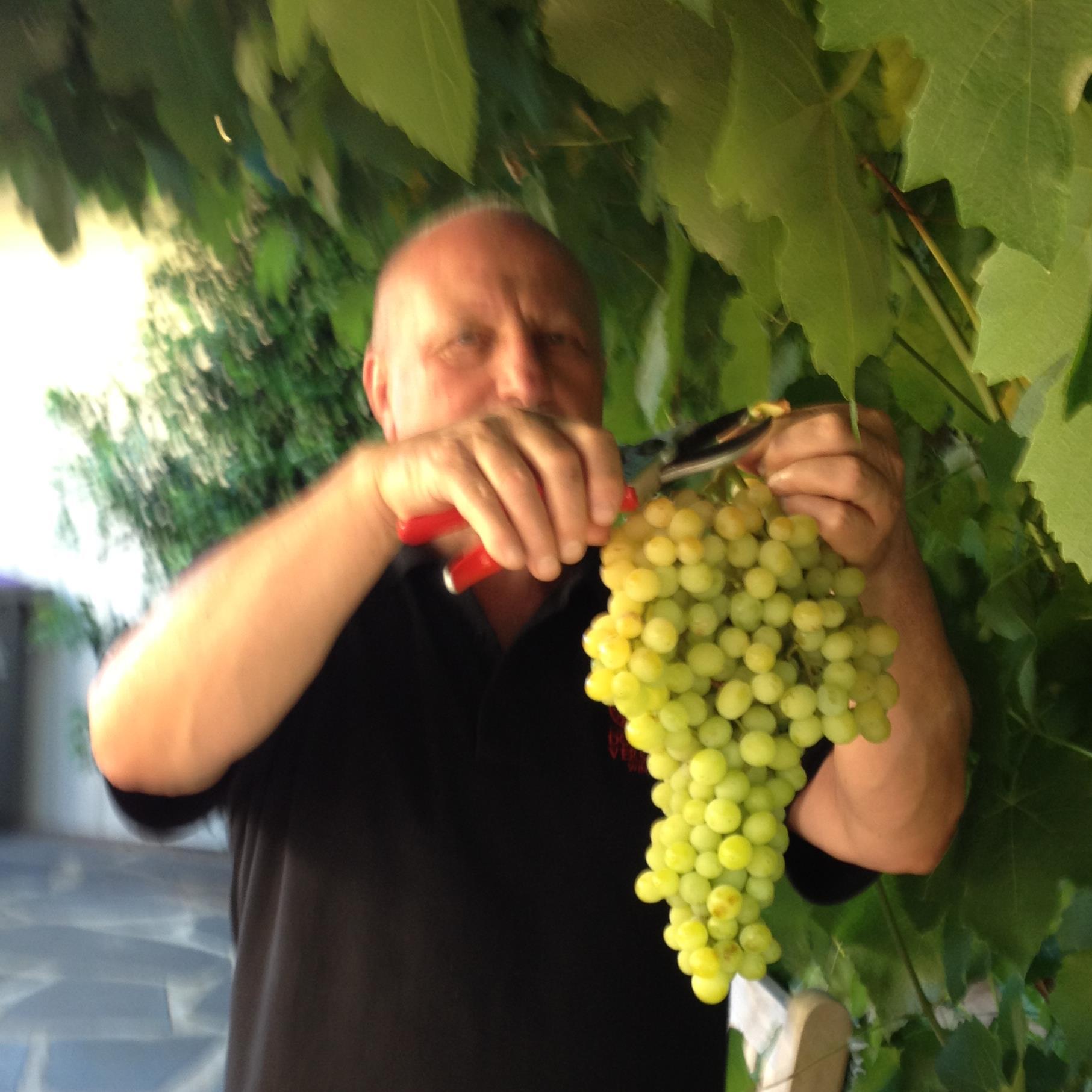 FeudoCalderone's profile picture. Consultant: I create a clear roadmap and direction for there business and future,through strategic discussion and planning.