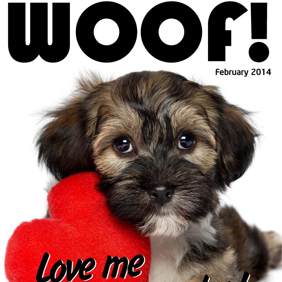 The World of dogs, and dog ownership explained in tit bits of 160 characters