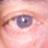 Truthseeker2659's profile image