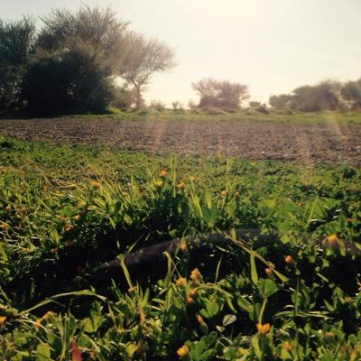 عيشُوا بقلب أبيض ونية حسَنة ولسان لا يقطر إلا خيراً، فليس على الدُنيا بقاء