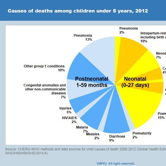 Vanessa_Boas's profile picture. Global Health Advocate. Keen follower of Central Asian developments. All views are my own.