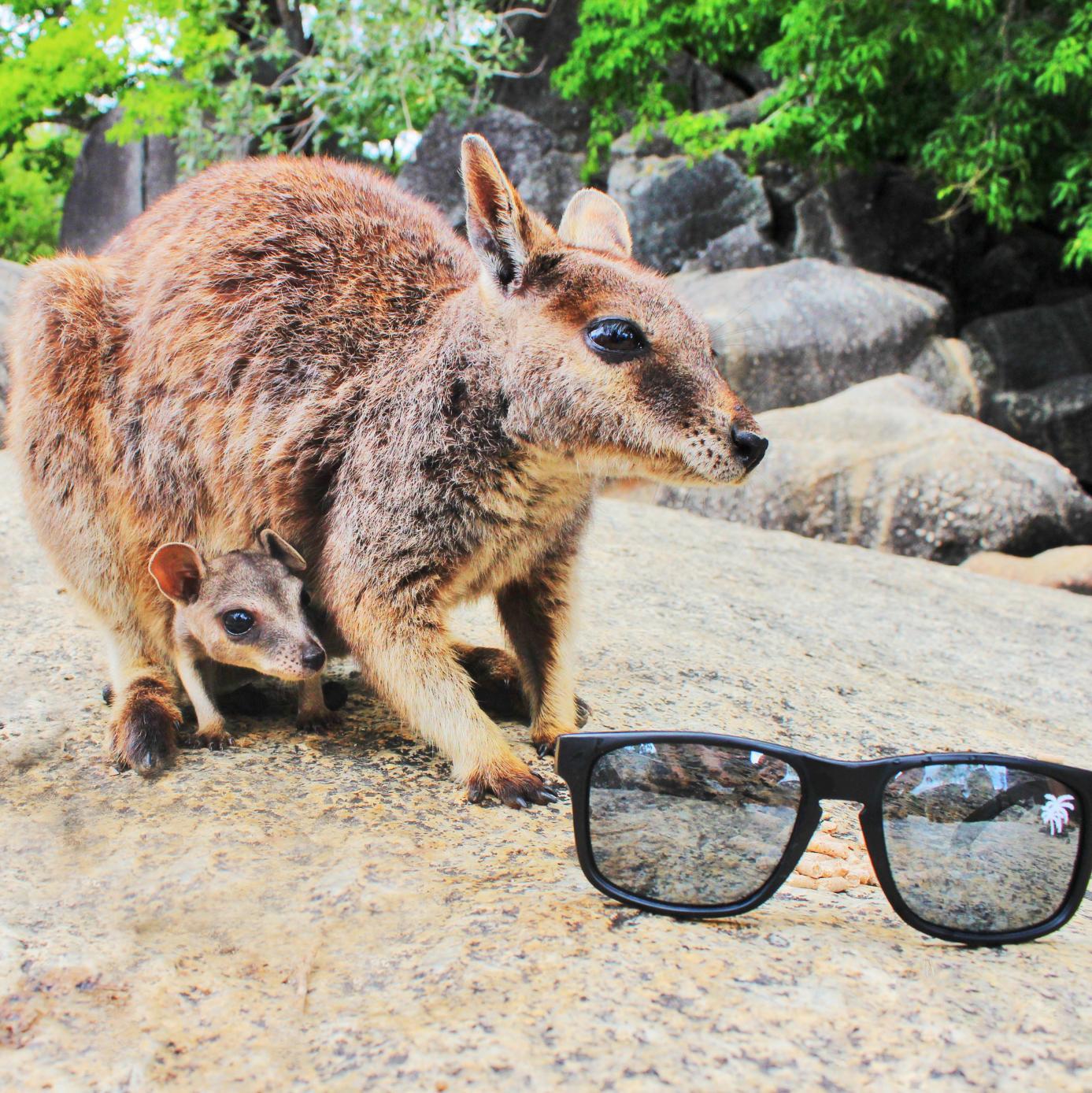 FloatablesAus's profile picture. Ecky Floatables Australia are the Official Sunglasses for all Water Sports. Buy a Pair of Sunglasses that Float Today & be part of the Team Ecky Experience