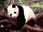 Sucafer's profile picture. Me interesa
Noticias, Tecnologia, Musica, etc....