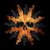 rock and o (@mutiara_farm) Twitter profile photo rock and o (@mutiara_farm) Twitter profile photo