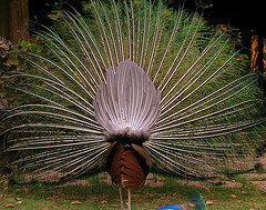 Gatekeeper917's profile picture. 