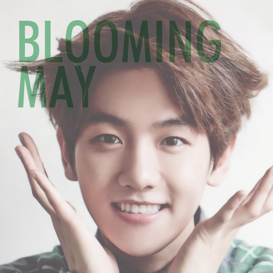 BABYLION X SEE THE LIGHT COLLABORATION BIRTHDAY PARTY / BLOOMING MAY