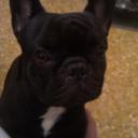 Thomas Robin - @838c8bcdac5841e - Twitter