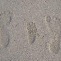 sandy (@sanyableu) 's Twitter Profile