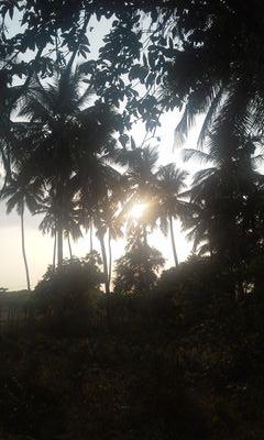 Rojadevi organic Agricultural & Animal Husbandry farm