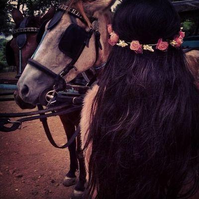 ‏تَضحُكُ أُمّي ، فتضحُكُ كُل الأشياءِ الجَميلة في صَدري ..!