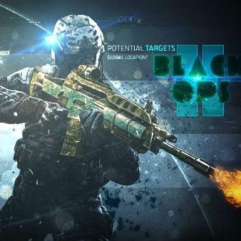 BO2《基本S&D。たまにTDM.DOM.FFA》 BF4《ラッシュ.コンクエスト》をやっています！アメリカ軍の武器とか好きです。BF4ではSRにロマンを感じています最近(´皿｀) BF4のフレンド募集してま〜す