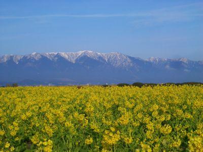 冬はスキー 春夏秋はパワースポット巡りとスイミング、 ウォーキング、スーパー銭湯、温泉巡りでリフレッシュしています