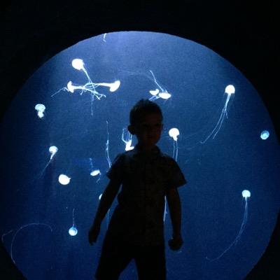 the_realmahoney's profile picture. 