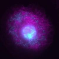 Dr. Ewa Chrostek(@EwaChrostek) 's Twitter Profile Photo Dr. Ewa Chrostek(@EwaChrostek) 's Twitter Profile Photo
