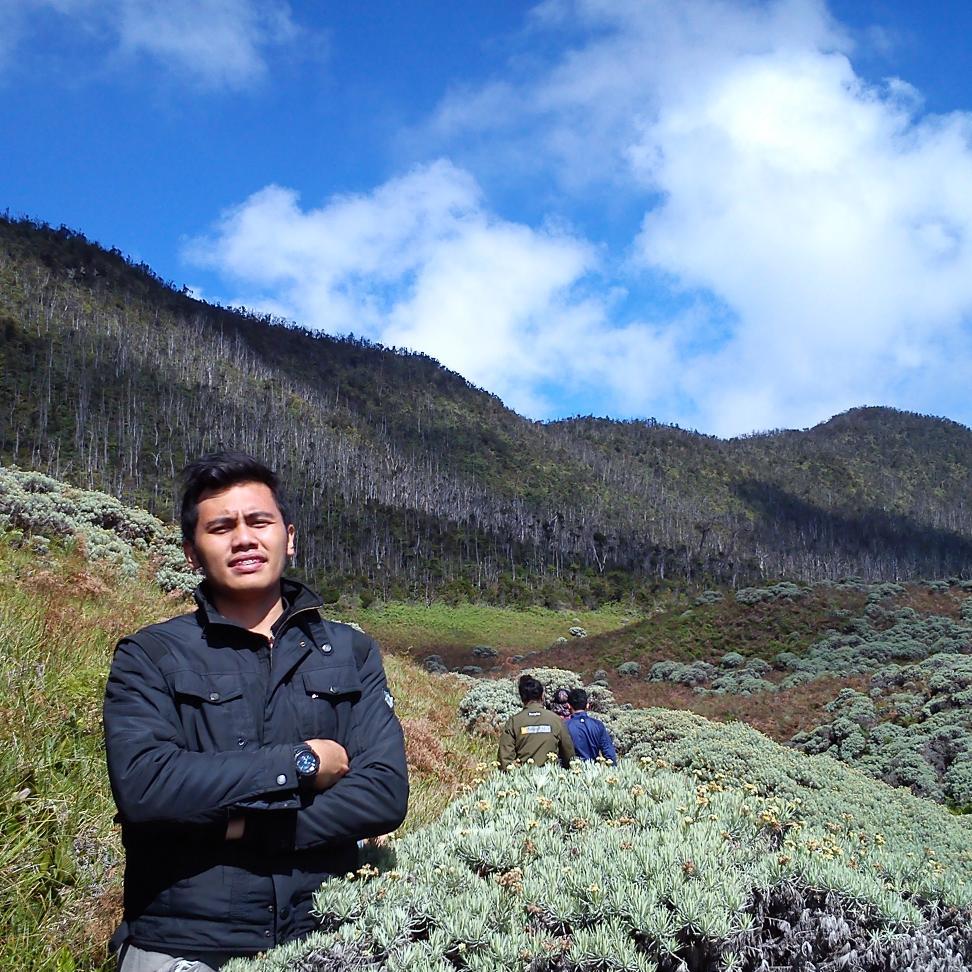 phlegmatic | listener | gooners