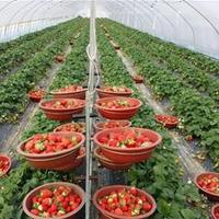 정태웅 (@twjeong3) 's Twitter Profile