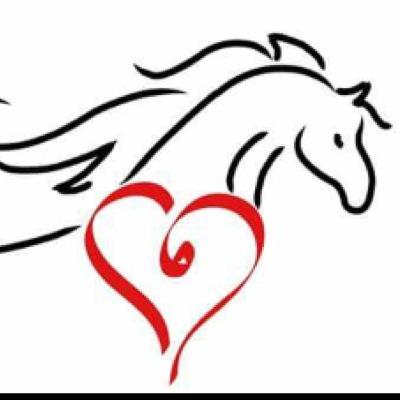 Cheshire based professional Equi Nannies taking care of your beloved horses whilst you are away.  theequinannies@gmail.com